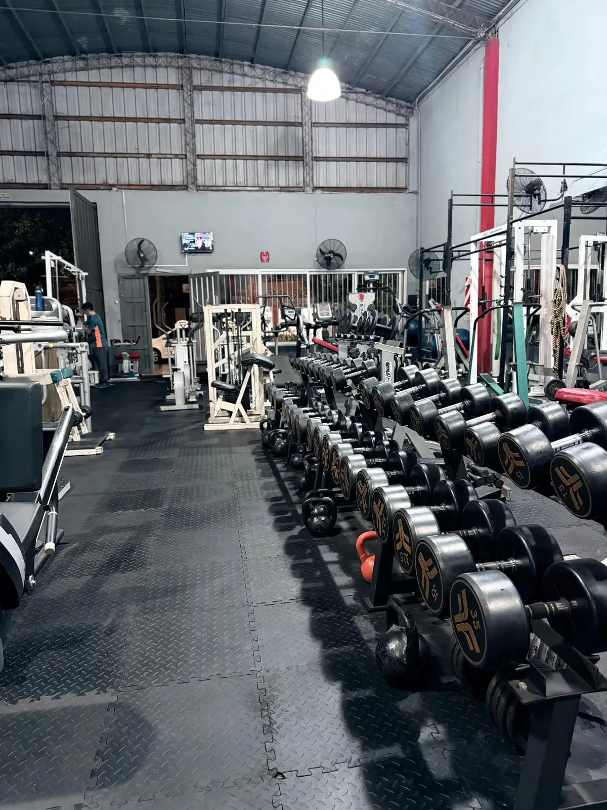 Mundo Fit Corrientes - Entrenamiento